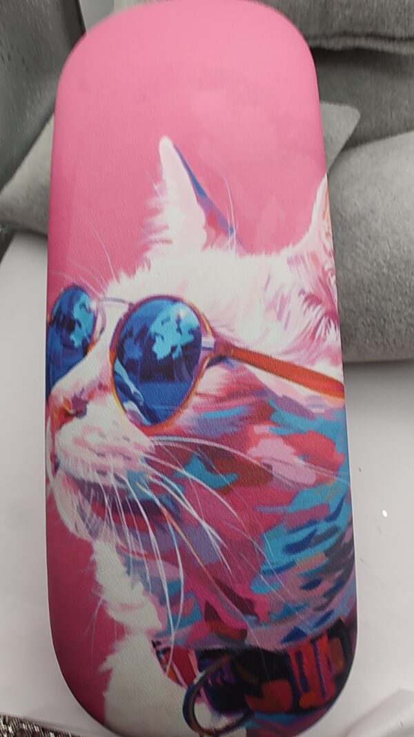 Boutique Eyeglass Hard Case - Kool Cat