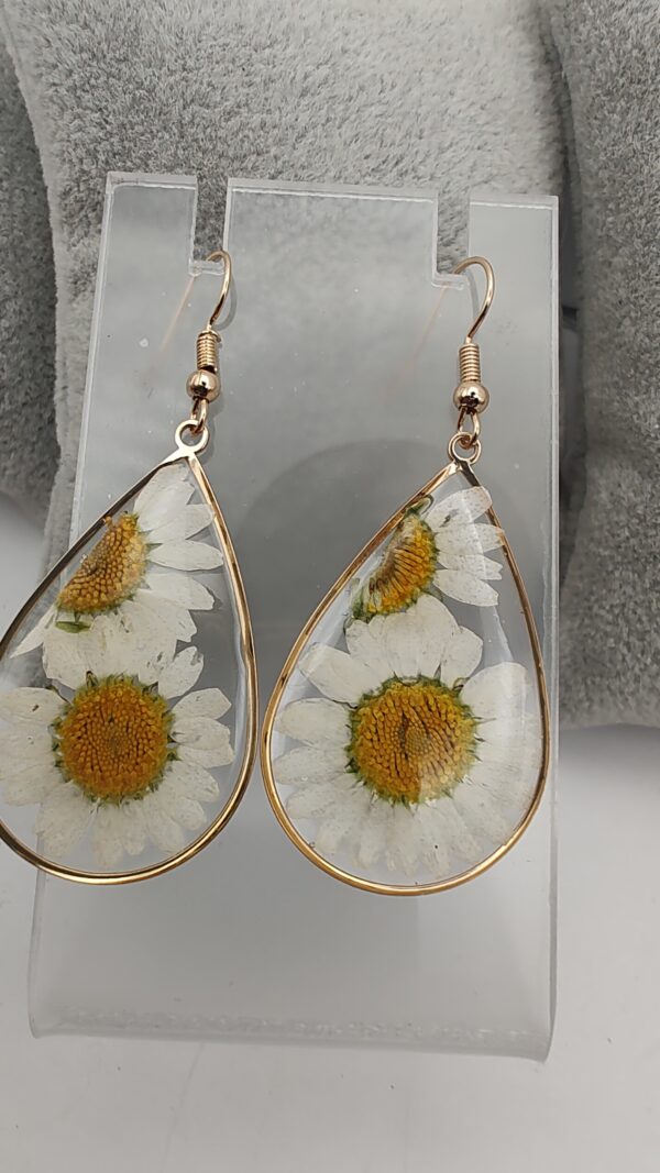 Daisy Dried Flower Resin Hook Earrings